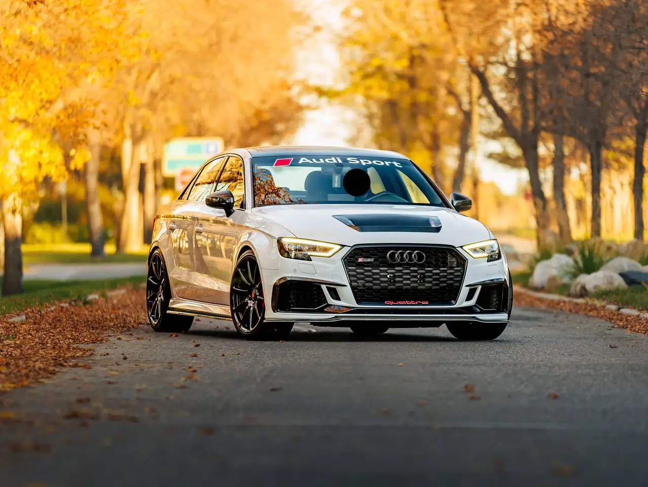 Audi RS3 fotografie Audi RS3