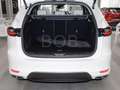 Mazda CX-60 D 254 AHK TAKUMI P-GSD DA-P CON-P PRE-COM-P 8-fach Wit - thumbnail 12