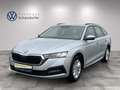 Skoda Octavia 4x4 Ambition TDI DSG Silber - thumbnail 1