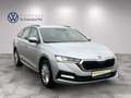 Skoda Octavia 4x4 Ambition TDI DSG Silber - thumbnail 6