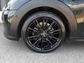 MINI Cooper Cabrio RESOLUTE EDITION Aut. *VOLL LED / NAVI / KAMERA / VOLLEDER SPORTSITZE / HK-SOUNDSYSTEM / 2-ZONEN-KLIMAAUT.* Grün - thumbnail 16