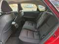 Lexus NX 300 300h Business 2WD Rojo - thumbnail 17