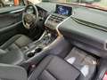 Lexus NX 300 300h Business 2WD Rojo - thumbnail 21