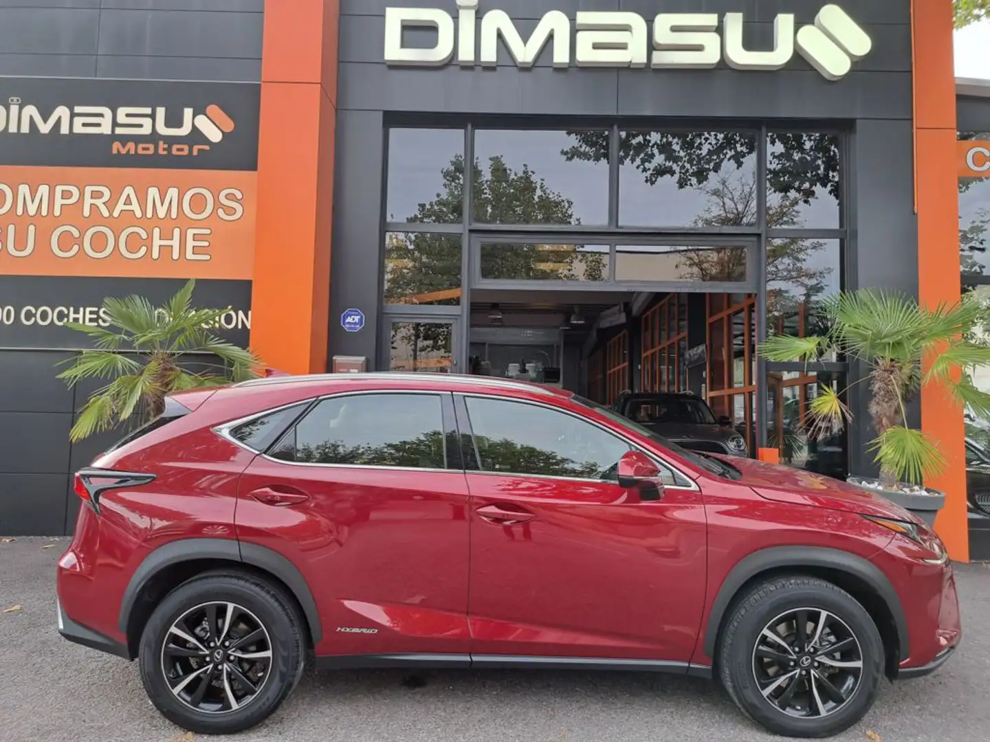 Lexus NX 300 300h Business 2WD Rosso - 1
