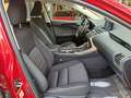 Lexus NX 300 300h Business 2WD Rojo - thumbnail 29