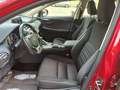 Lexus NX 300 300h Business 2WD Rojo - thumbnail 28
