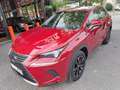 Lexus NX 300 300h Business 2WD Red - thumbnail 10