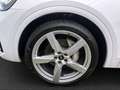 Audi Q5 50 TFSI e quattro S line/ Pano/ Weiß - thumbnail 12