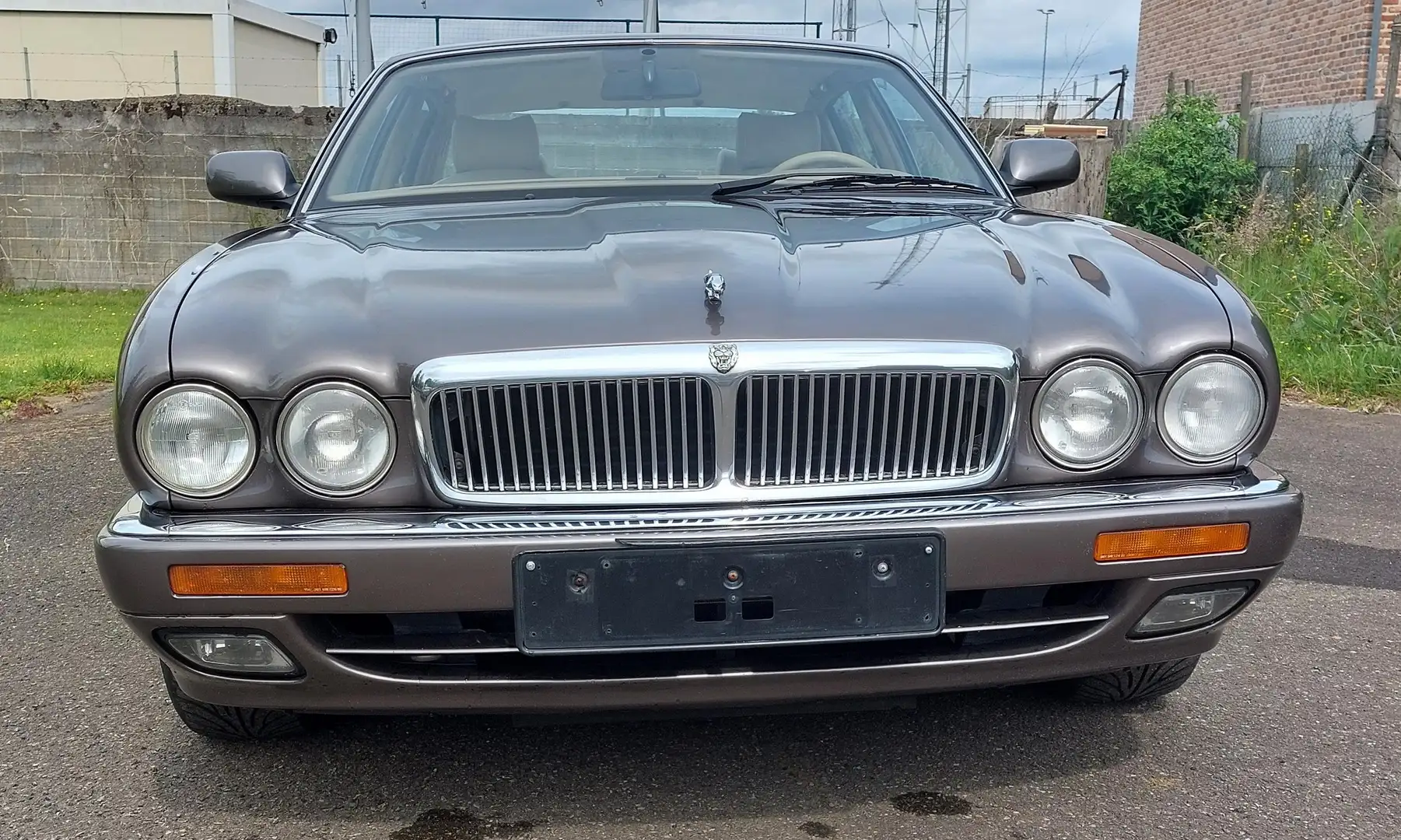 Jaguar XJ6 Sovereign Gris - 1