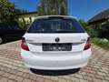 Skoda Fabia Fabia Ambition 1,4 TDI Ambition Weiß - thumbnail 8