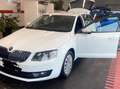 Skoda Octavia Octavia 1,6 TDI Ambition Ambition - thumbnail 4