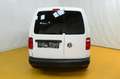 Volkswagen Caddy Caddy Kastenwagen 2,0 TDI Weiß - thumbnail 14
