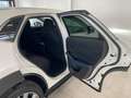 Mazda CX-30 CX-30 1.8 Exclusive 2wd 116cv 6mt Wit - thumbnail 36