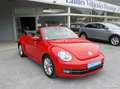 Volkswagen Coccinelle cabriolet 1.2 tsi 105 vintage - thumbnail 1