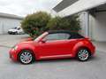 Volkswagen Coccinelle cabriolet 1.2 tsi 105 vintage - thumbnail 5