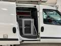 Fiat Doblo Doblo 1.4  natural power Attrezzato+inverter 220V. Wit - thumbnail 12