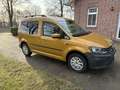 Volkswagen Caddy Caddy TDI BMT 2.0 TDI (5-Si.) Gold - thumbnail 3