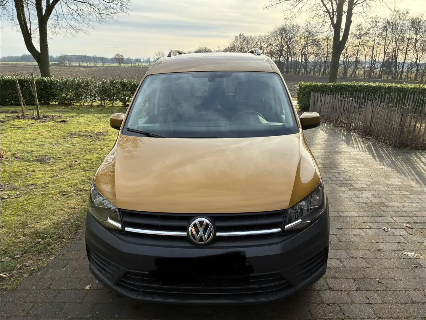 Volkswagen Caddy Caddy TDI BMT 2.0 TDI (5-Si.) Gold - 2