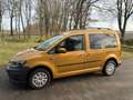 Volkswagen Caddy Caddy TDI BMT 2.0 TDI (5-Si.) Gold - thumbnail 1
