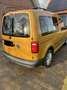 Volkswagen Caddy Caddy TDI BMT 2.0 TDI (5-Si.) Gold - thumbnail 5