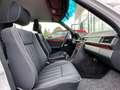 Mercedes-Benz E 320 Limousine | Schalter | Klima | TÜV NEU! Blanco - thumbnail 16