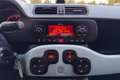 Fiat Panda Panda III 2016 1.0 hybrid City Cross s Blanc - thumbnail 12