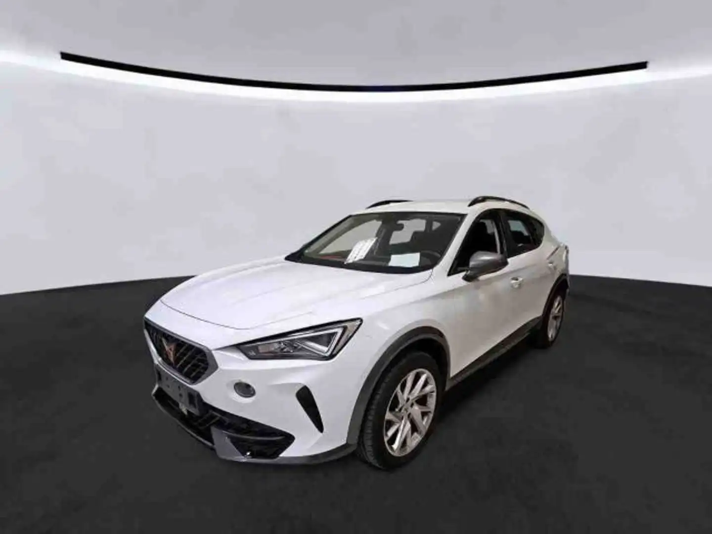 CUPRA Formentor 2.0 TDI DSG 4Drive *AHK*StHzg*Kamera*K Wit - 2