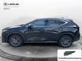 Lexus NX 300 NX Hybrid 4WD Premium Nero - thumbnail 2