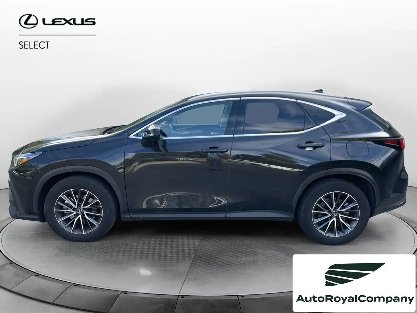 Lexus NX 300 NX Hybrid 4WD Premium Nero - 2