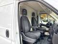 Fiat Ducato 2.3 MJT 130CV L4 H3 Maxi FURGONE Bianco - thumbnail 13