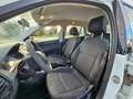 Skoda Fabia 1.4 TDI 90 CV Wagon Active AUTOCARRO N1 Bianco - thumbnail 11