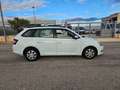 Skoda Fabia 1.4 TDI 90 CV Wagon Active AUTOCARRO N1 Bianco - thumbnail 4