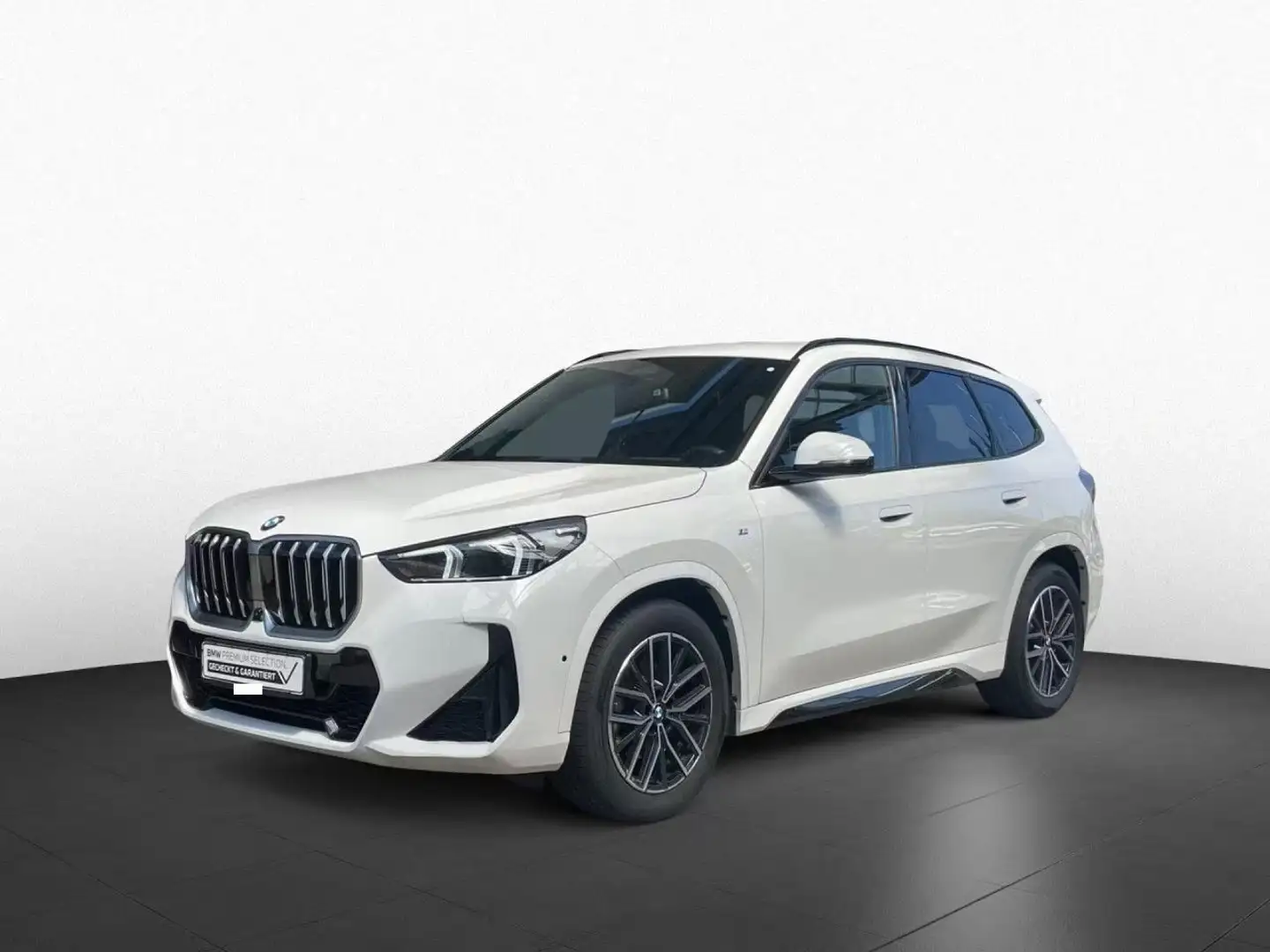 BMW X1 xDrive20d M Sport LiCoPro HUD ad. LED Bianco - 1
