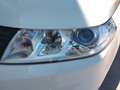Suzuki Vitara DITC 1.0  Clear 8-Fach bereift Weiß - thumbnail 4