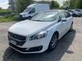 Peugeot 508 BlueHDi 120 EAT6 S&S SW Allure TETTO PANORAMICO Blanc - thumbnail 1
