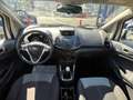 Ford EcoSport EcoSport 1.0 ecoboost Business 125cv Bianco - thumbnail 9