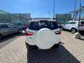 Ford EcoSport EcoSport 1.0 ecoboost Business 125cv Bianco - thumbnail 7
