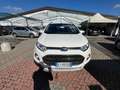 Ford EcoSport EcoSport 1.0 ecoboost Business 125cv Bianco - thumbnail 2