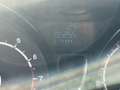 Ford EcoSport EcoSport 1.0 ecoboost Business 125cv Bianco - thumbnail 13