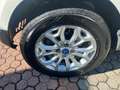 Ford EcoSport EcoSport 1.0 ecoboost Business 125cv Bianco - thumbnail 15