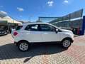 Ford EcoSport EcoSport 1.0 ecoboost Business 125cv Bianco - thumbnail 4