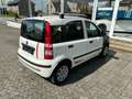 Fiat Panda 1.2i // EURO 5!! // Biały - thumbnail 10