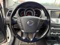 Nissan Murano Murano 2.5 dCi Executive Blanc - thumbnail 13