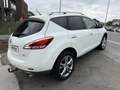 Nissan Murano Murano 2.5 dCi Executive Blanc - thumbnail 4