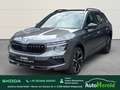 Skoda Kamiq Monte Carlo ACC Matrix WinterPlus Paket Grau - thumbnail 1