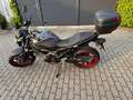 Suzuki SV 650 EZ 2024 – 495 km – Wie Neu – Topcase+ Tiefer Gris - thumbnail 3