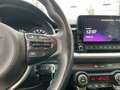 Kia Stonic 1.0 T-GDI Vision (EURO 6d) Rot - thumbnail 21