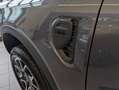 Ford Ranger Ranger Doppelkabine Wildtrak e-4WD 3,0 EcoBlue ... Grau - thumbnail 6
