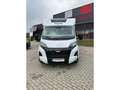 Pilote P690D 25er *FIAT 9* Automatik/Markise/Solar Evid Blanc - thumbnail 10