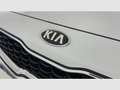 Kia Ceed / cee'd 1.0 T-GDi 88kW (120CV) Tech Blanco - thumbnail 33